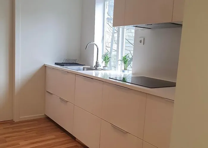 公寓 Sentral Og Moderne I 斯塔万格